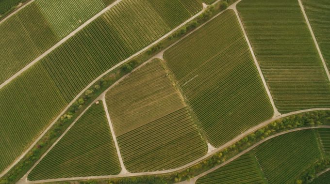 Header image for the MapSavvy article “MapSavvy Provides Powerful, Affordable Aerial Imagery for Business”