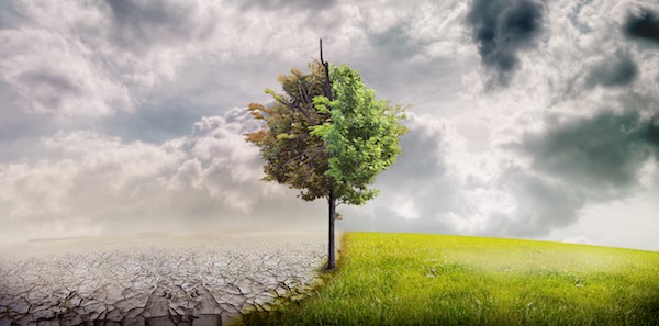 Header image for the MapSavvy article “MapSavvy: A Potent Climate Change Tracker Tool”