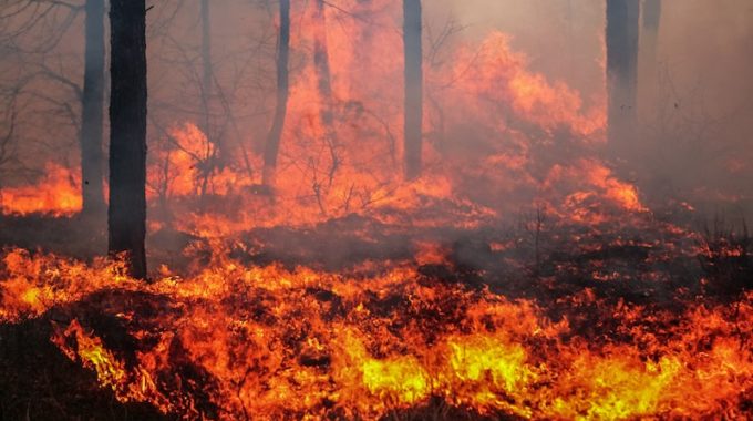 Wildland Fire Mapping Software | MapSavvy.com | OnTerra Systems USA